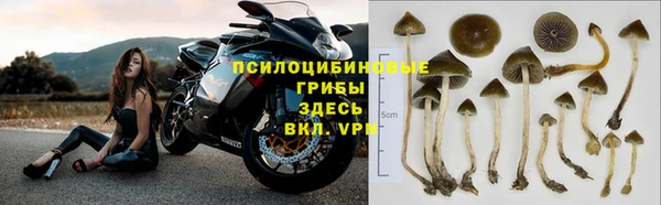 амф Арсеньев