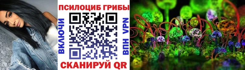Псилоцибиновые грибы Magic Shrooms  купить наркоту  Судак 