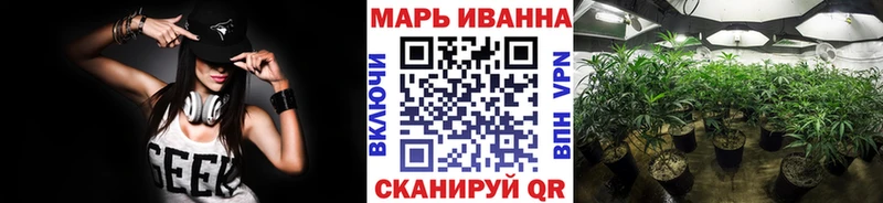 Шишки марихуана сатива  даркнет сайт  Судак 